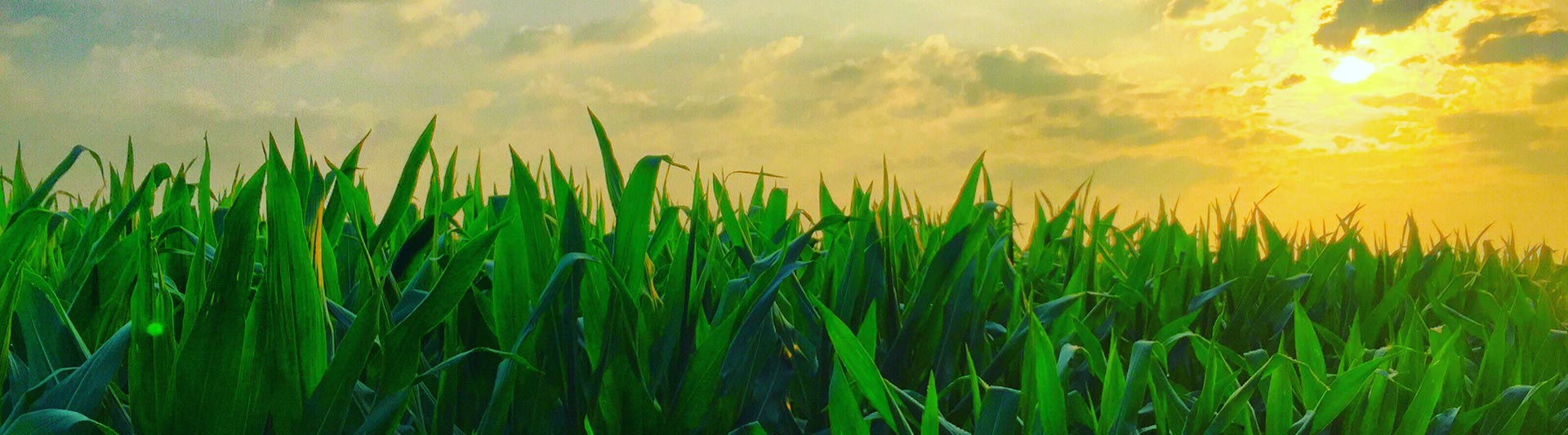 Pennsylvania Agricultural Helicopter Services